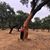 Polly Jean Awe's profile image