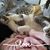 Carrie Jean Gray's profile image