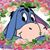 Patty Kraft's profile image
