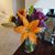 Barbara Williams's profile image