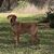 Jeff Deitz's profile image