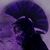 Carnell Day's profile image