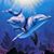 Dolphin Carolyn's profile image