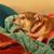 Debbie Chastain's profile image
