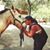 Adina Cortes's profile image