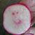 Lizz Ramsdell Kresconko's profile image