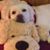 Stacy Davidson's profile image
