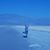 Cat Grimwood's profile image