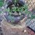 Diana Berken's profile image