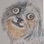 Jamie Light's profile image