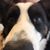 Bradley Noakes's profile image