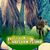 Canyia Hashmi's profile image