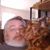 Scott Hylla's profile image