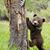 Vicky Knepp Herman's profile image