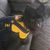Donielle Melchert's profile image