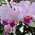 Margaret Huebner's profile image