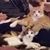 Karen Roder's profile image