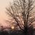 Mary Ellen Brewer Woods's profile image