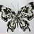Nancy Gann Potts's profile image