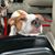 Millie Aviles Bell's profile image