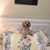 Lucy Segovia's profile image