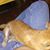 Willie Hernandez's profile image