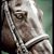 Lisa Parker Reid's profile image