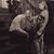 Ilya D Estrin's profile image