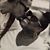 Phyllis Stepherson-Cordoba's profile image
