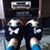 Tracy Ann Peters's profile image