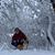 Sarah Boutwell's profile image