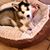 Stacy Jackson Thompson's profile image