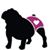 Wendi Renzhofer Roth's profile image