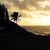 Lorrie Gatewood's profile image