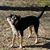 Justin Walkinshaw's profile image