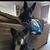 Monica Buddrius's profile image