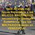 Jose Luis de Lara's profile image