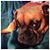 Kim King Bradley's profile image