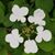 Lenore Halkowich's profile image