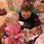 Rhonda Mitchell's profile image