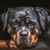 Jason Burleson's profile image