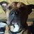 Robert Routh's profile image