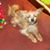 Trace Martin's profile image
