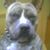 Will Giddeon's profile image