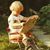 Adam Brandstrup's profile image