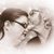Amanda D Davidson's profile image