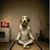 Alix Kammeyer's profile image