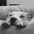 TomandBrandy Trehern's profile image
