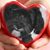 Eileen Arrocha's profile image