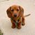 JoAnn Donnelly's profile image
